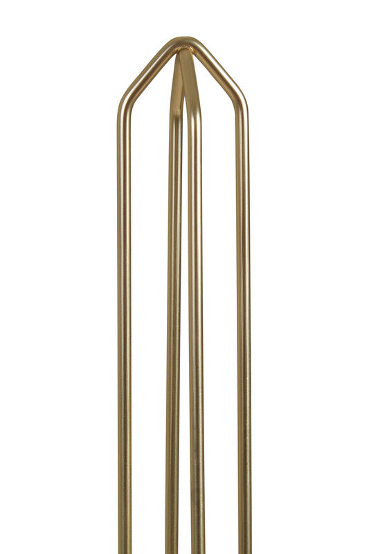 Kitchen Roll Holder with Matte Gold Finish
