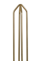 Kitchen Roll Holder with Matte Gold Finish