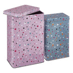 Set Of 2 Stellar Storage Canisters