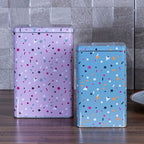 Set Of 2 Stellar Storage Canisters