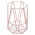 Pink Finish Utensil Holder