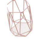 Pink Finish Utensil Holder