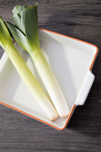 Terracotta White Glazed Oven to Table Dish