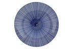 12 Piece Blue and White Dinner Set