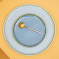 Blue Dinner Plate
