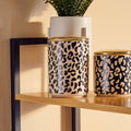 Large Black and White Canister