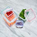 4 Piece Food Containers with Airtight Lids