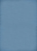 Urban Outdoor Rug Blue 240X340 cm