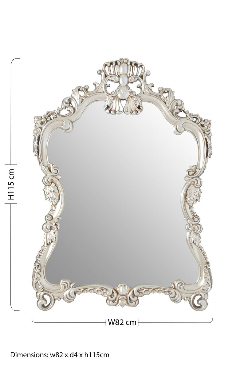 Champagne Frame Wall Mirror