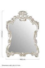 Champagne Frame Wall Mirror