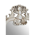 Champagne Frame Wall Mirror