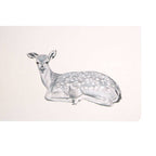 Set of Two Mini Forest Placemats and Coasters