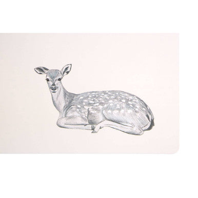 Set of Two Mini Forest Placemats and Coasters