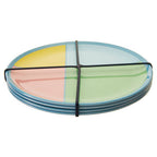 Set of 4 Melamine Dinner Plates