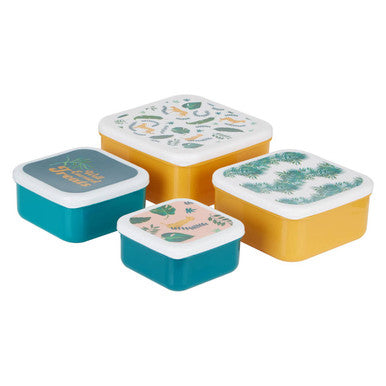 Set of 4 Winter Palm Lunch Boxes