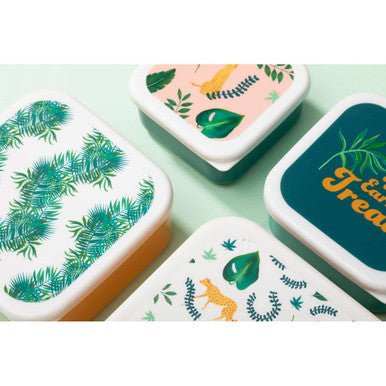 Set of 4 Winter Palm Lunch Boxes