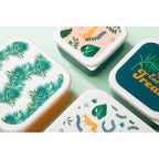 Set of 4 Winter Palm Lunch Boxes