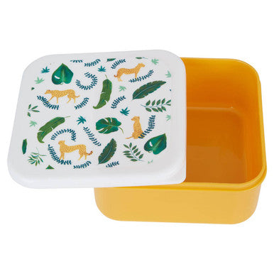 Set of 4 Winter Palm Lunch Boxes