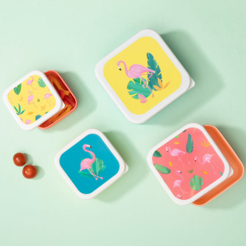 Set of 4 Flamingo Lunch Boxes