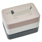 Dog Lunch Box with Cutlery