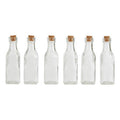 6 Pieces Small Glass Bottles