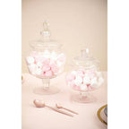 Clear Glass Candy Small Storage Jar