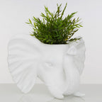 Elephant Planter