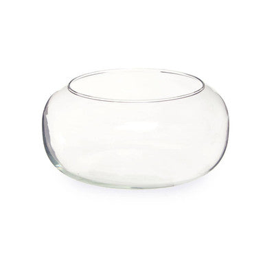 Clear Glass Globe Vase with Rounded Design