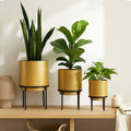 Set of Three Gold Finish Planters