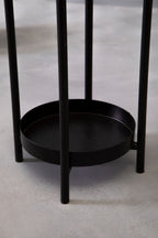 Black Metal 2 Tier Plant Stand