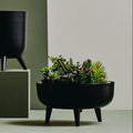 Black Planter