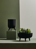 Black Vase