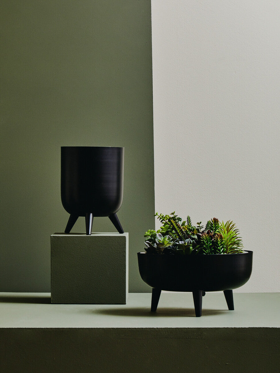 Black Vase