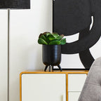 Black Vase