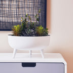White Finish Round Footed Planter with Angular Base