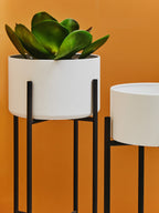 Small White and Black Floor Standing Planter
