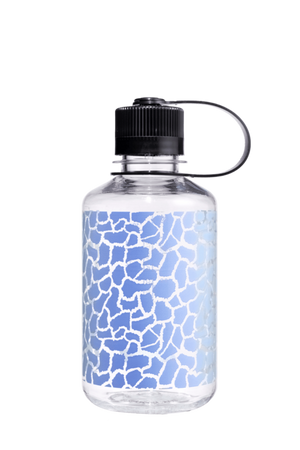 Giraffe Print