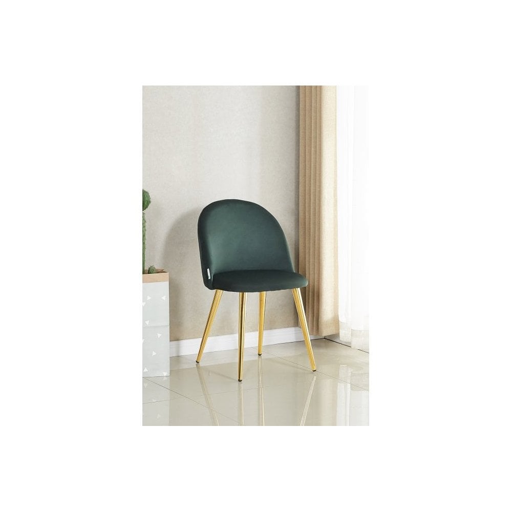 Velvet Dining Chair Set of 2
