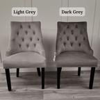 LUX Velvet Dining Chair Set of 2