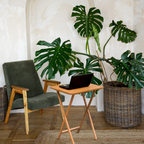 Natural Tropical Hevea Wood Folding Snack Table