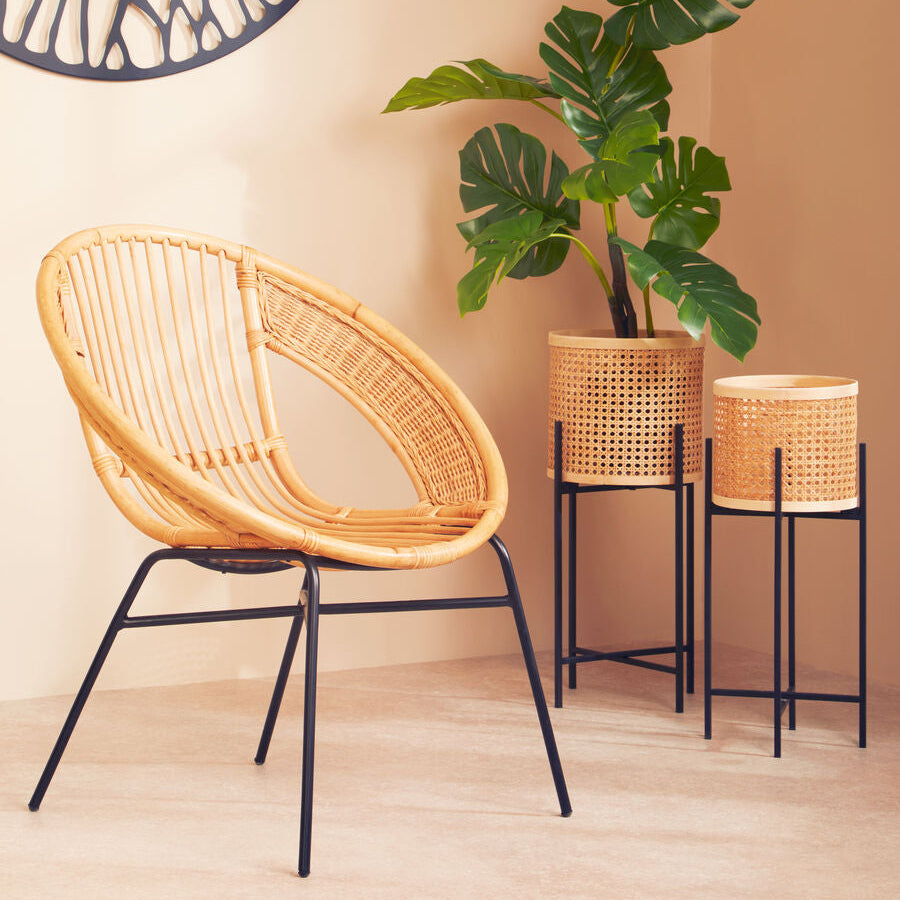 Natural Rattan and Black Iron Chair