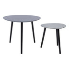 Grey Gloss Finish Set of 2 Nesting Tables