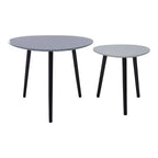Grey Gloss Finish Set of 2 Nesting Tables