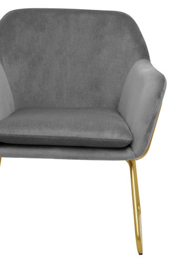 Grey Velvet Accent Chair with Gold Finish Base