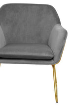 Grey Velvet Accent Chair with Gold Finish Base