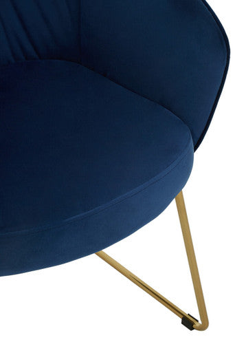 Midnight Velvet Curved Dining Chair
