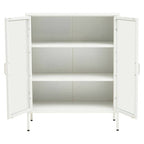 White Metal 2 Door Cabinet with Glass Doors