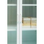 White Metal 2 Door Cabinet with Glass Doors