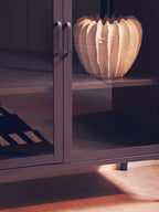 Grey Metal 2 Door Cabinet with Glass Doors