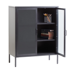 Grey Metal 2 Door Cabinet with Glass Doors